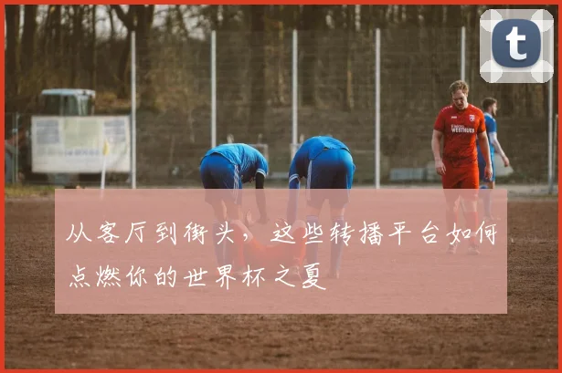 从客厅到街头，这些转播平台如何点燃你的世界杯之夏