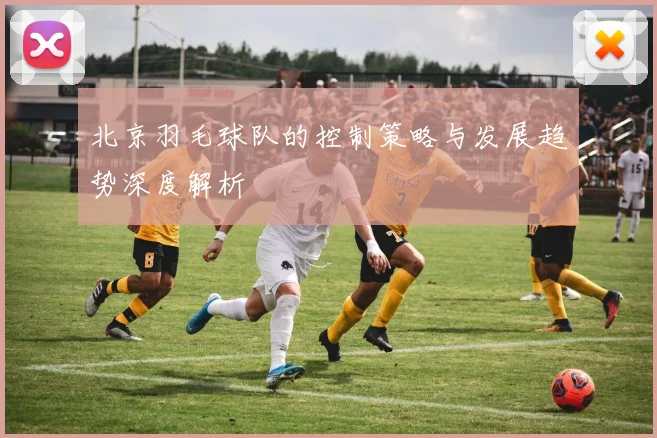 北京羽毛球队的控制策略与发展趋势深度解析